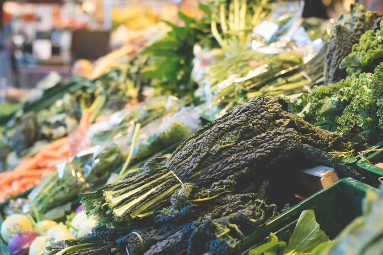 生物制品与营养补充剂协同应用的技术方案解析