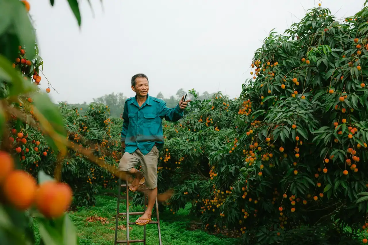 益生菌与后生元在营养补充剂中的应用差异对比分析