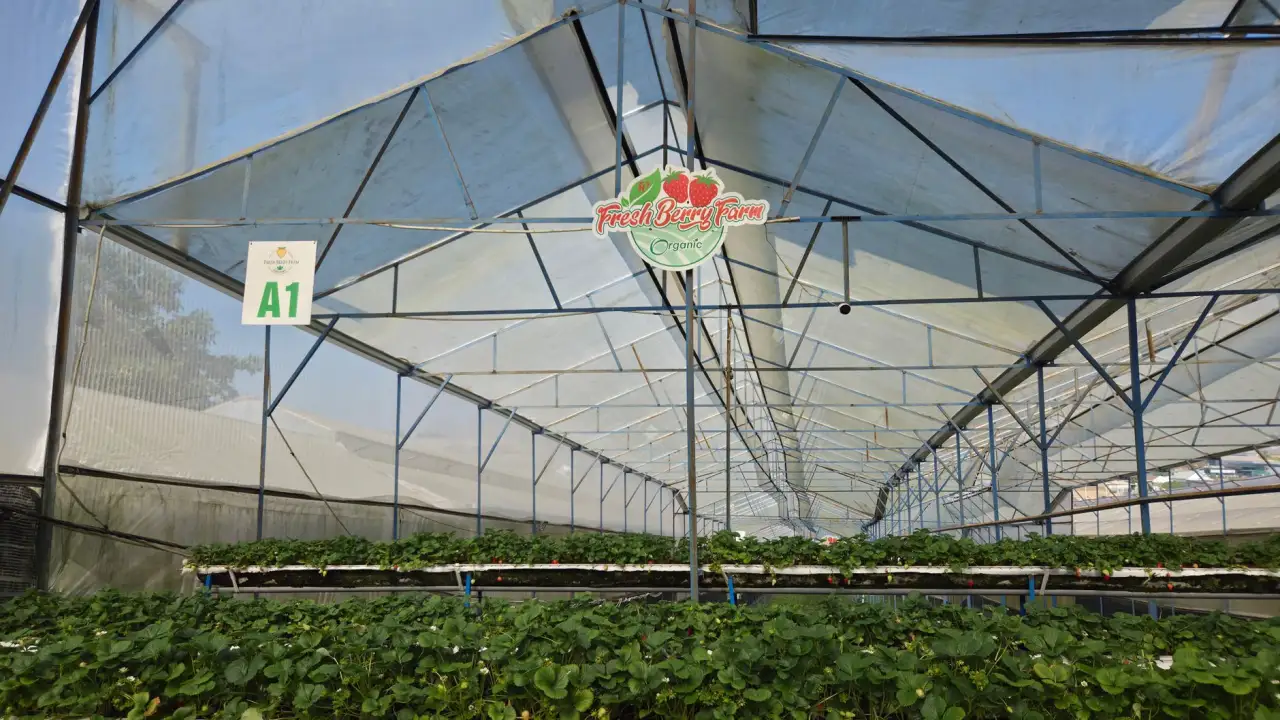 2025年生物制品行业监管政策新动向与合规要点解析