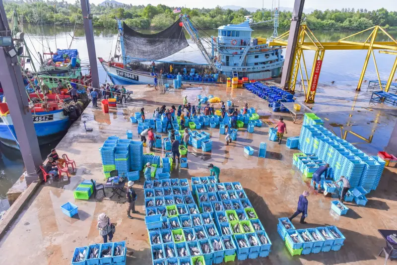 保健食品与营养补充剂如何选？深圳效果生物的产品对比与适用场景分析