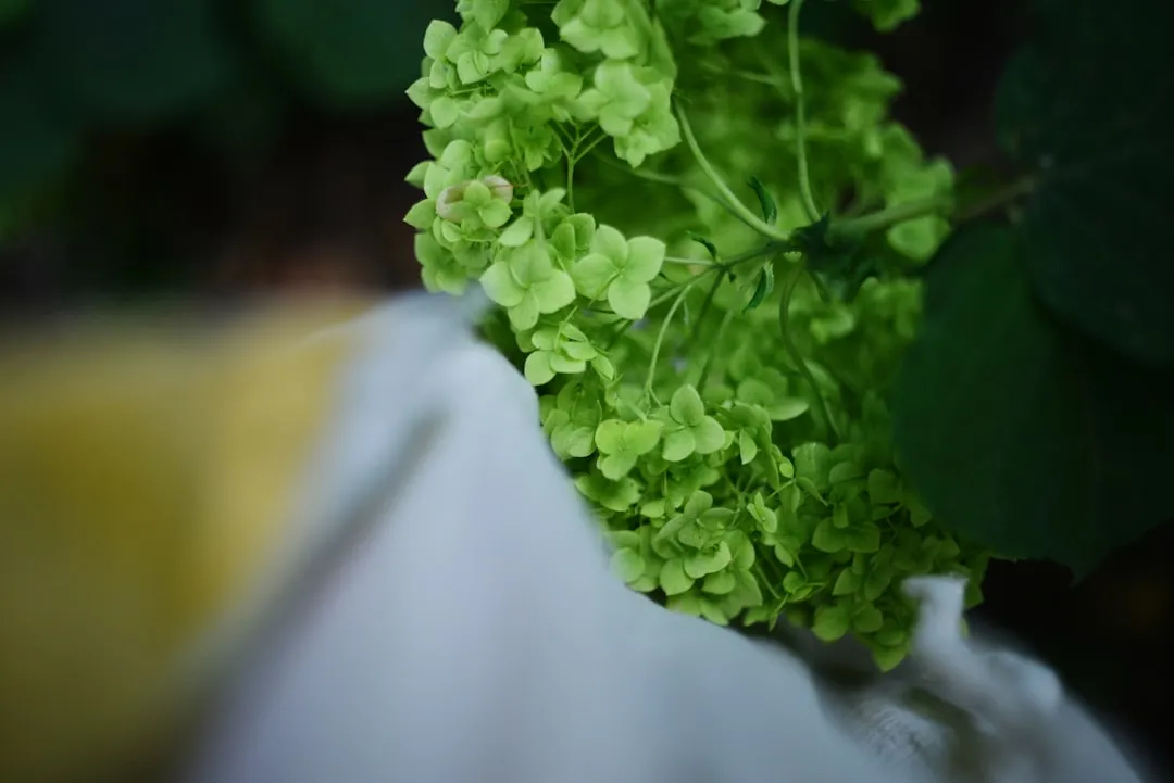 生物制品在健康管理中的应用场景与技术实现路径